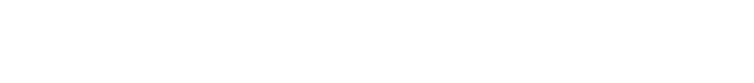 TheDataPrime